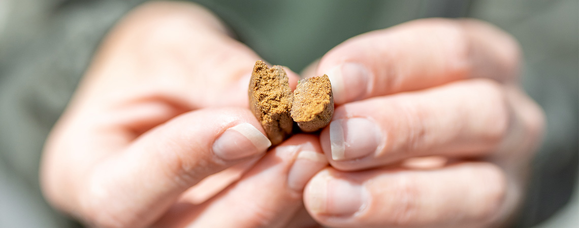 How To Recognise High-Quality Hash