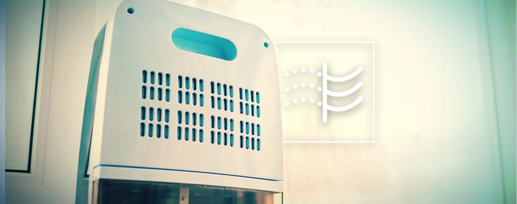 What Are Dehumidifiers And How Do You Use Them To Grow Cannabis?