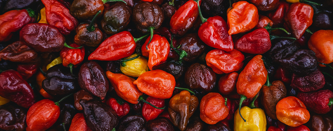 Top 20 nejpálivějších papriček na světě (vydání 2026)