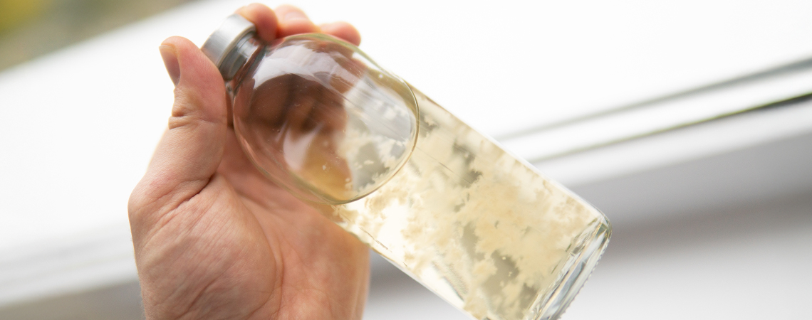 How to make liquid culture