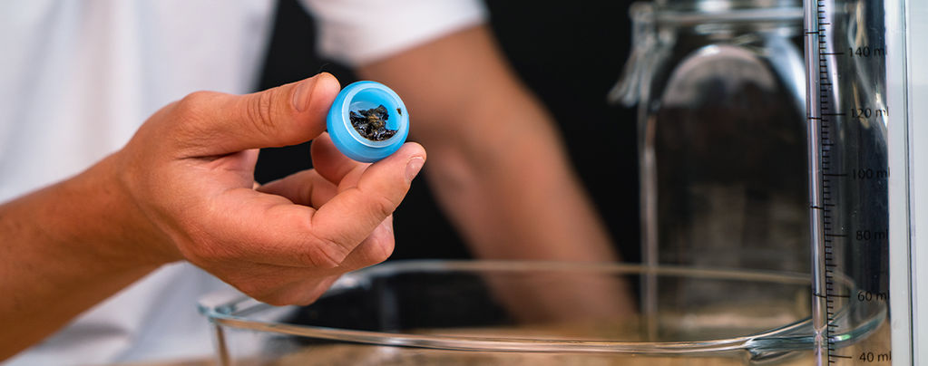 How To Make QWISO Cannabis Extract 