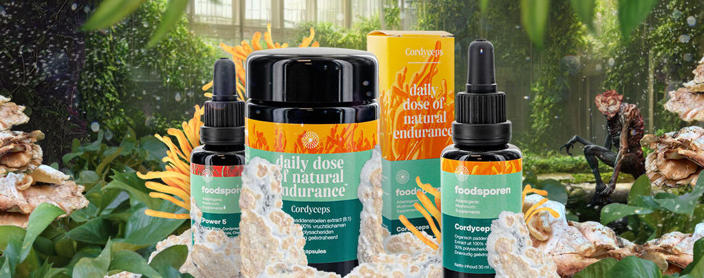 Cordyceps: What You Need To Know