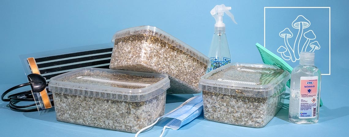 How To Choose The Right Magic Mushroom Grow Kit