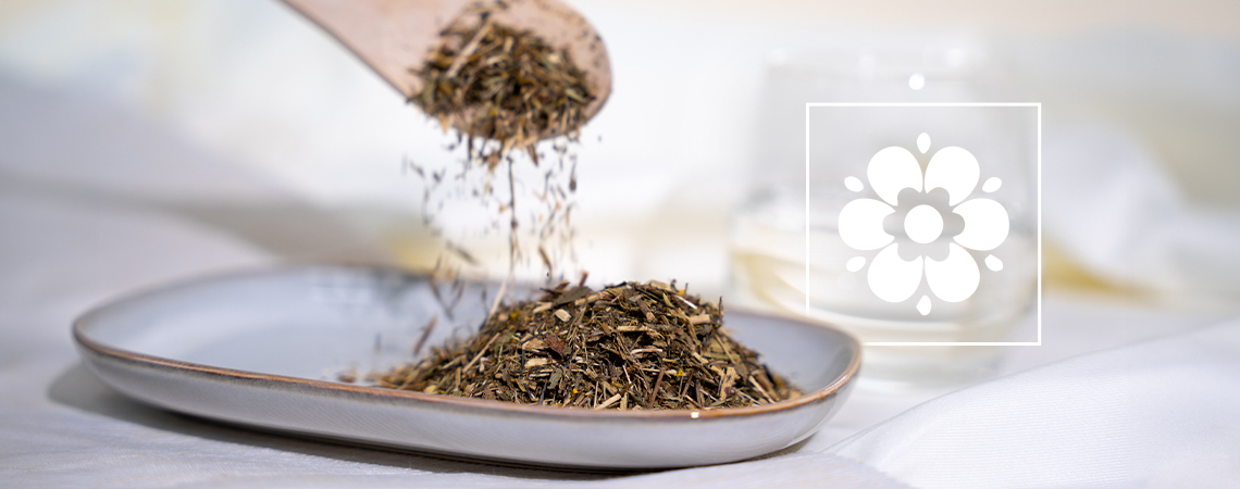 What Is Mexican Tarragon And How To Prepare It