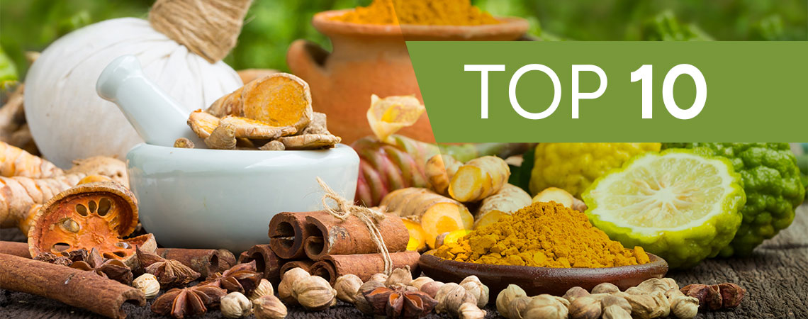 Top 10 Ayurvedic Herbs
