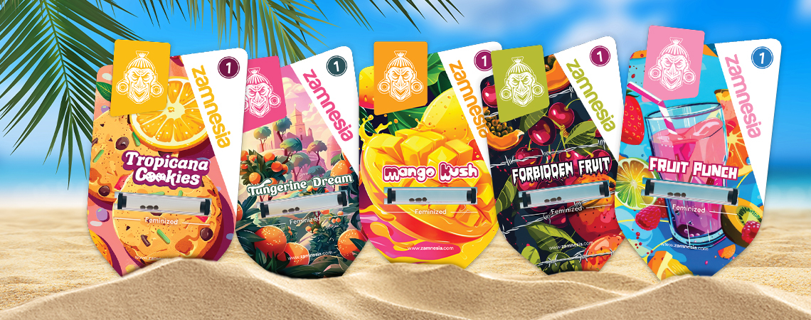 Zamnesia Seeds Show Part 3: Club Tropicana