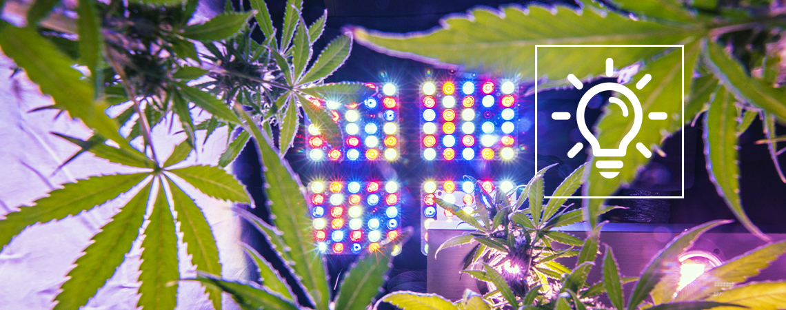 Exciting Cannabis Growing Tech In 2026