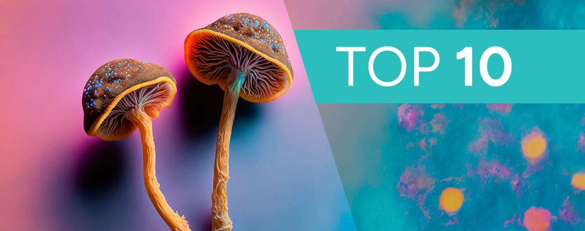 10 Best Things To Do On Magic Mushrooms