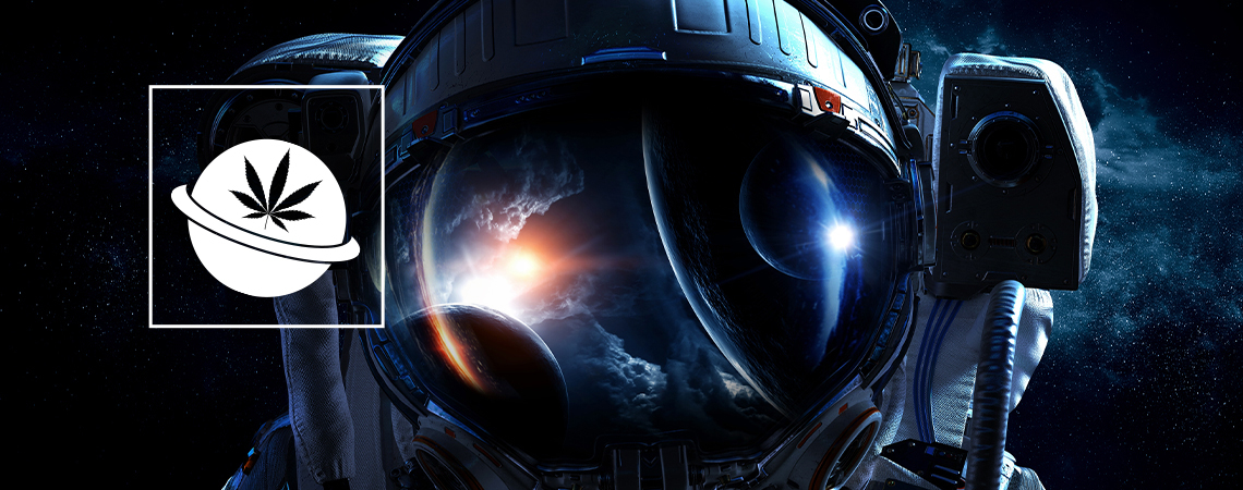 Cultivating Cannabis In Space