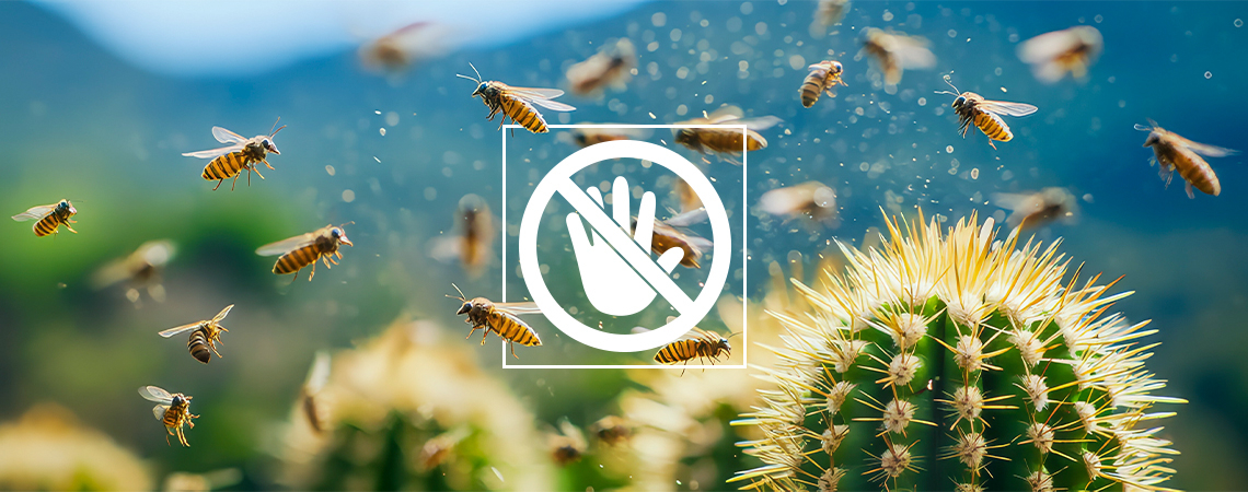 Jak léčit a předcházet škůdcům na kaktusu San Pedro