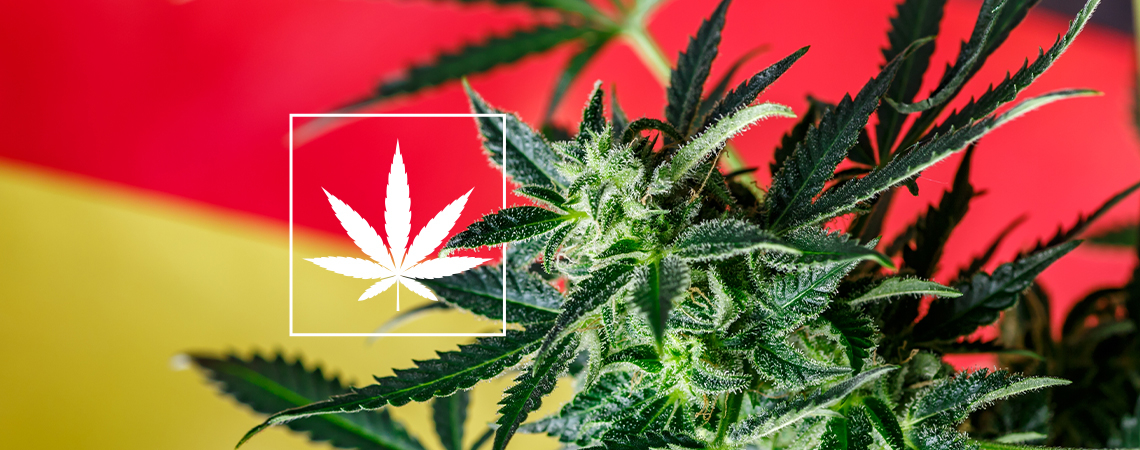 Pohled na novou scénu německých konopných sociálních klubů