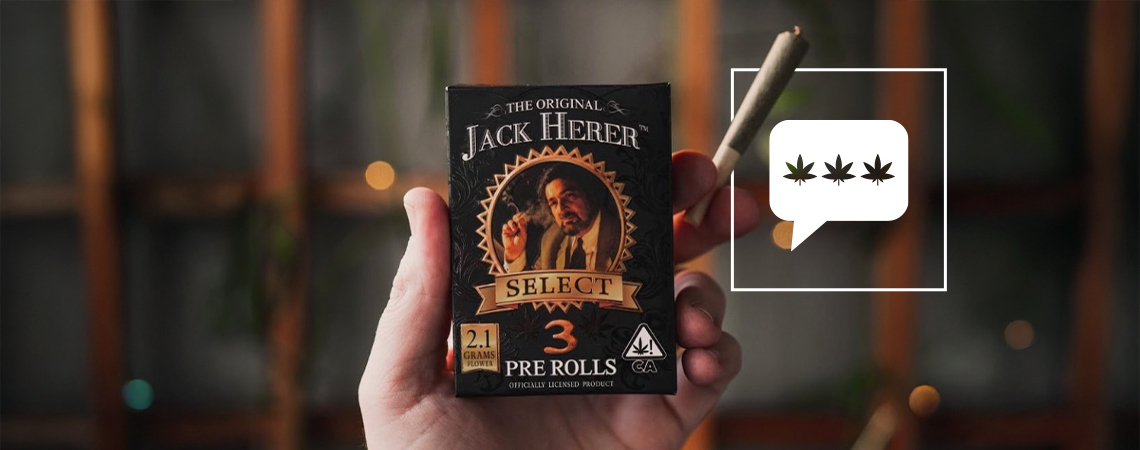 Rozhovor s Danem Hererem