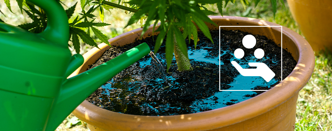 Cannabis additives explained: What they do & why you need them