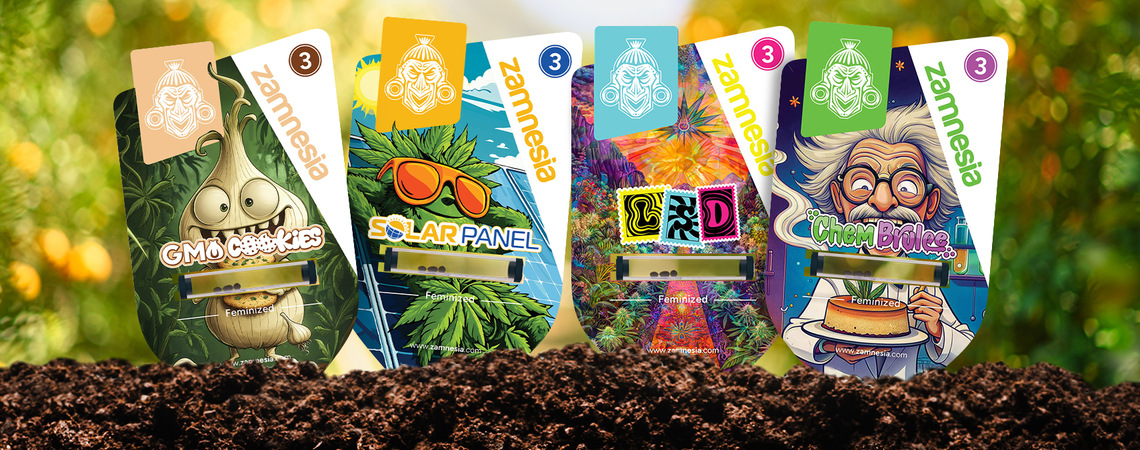 Welcome to Sector Z: A classified cannabis discovery