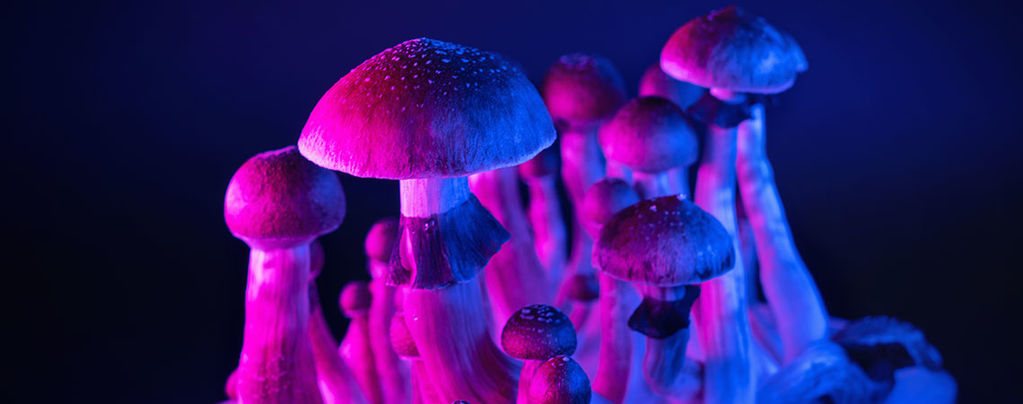 Magic Mushrooms And The Hyper-Connected Brain