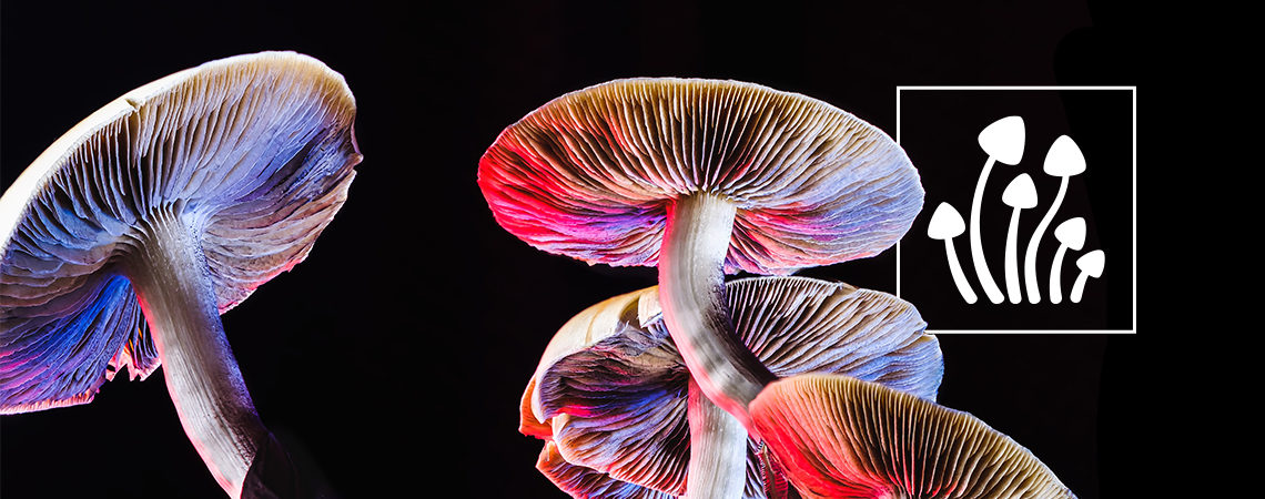 How many types of magic mushrooms exist?