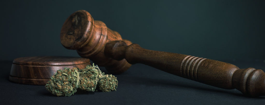 10 důvodů, proč by všechny drogy měly být legální