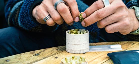 Kompletní průvodce drtičkami