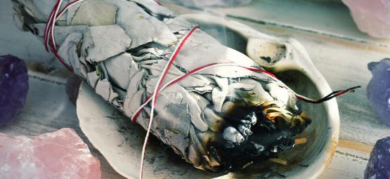 Co je to bílá šalvěj?