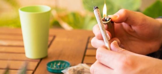 Wake and bake: nejlepší odrůdy konopí na ranní pokouření