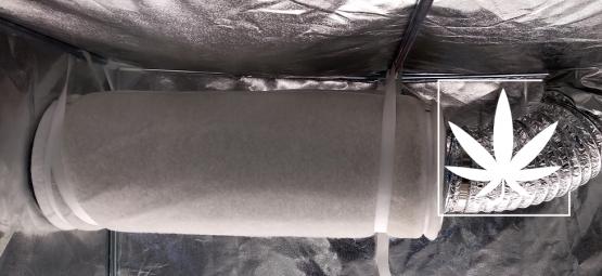 Jak použít uhlíkové filtry ke kontrole zápachu z konopí