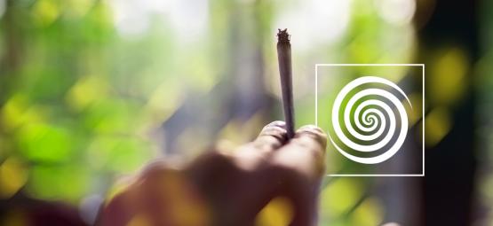 Je možné zažít psychedelický prožitek po užití konopí?