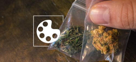 Různé barvy konopí a co ve skutečnosti znamenají