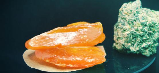 Co je BHO a jak vyrobit BHO z konopí