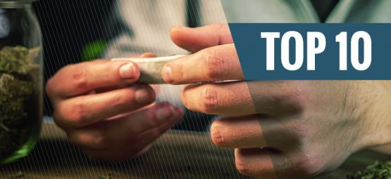 Top 10 tipů, jak vytěžit z vaší zásoby trávy úplné maximum