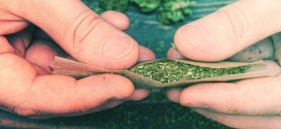 Jak ubalit dokonalý blunt?