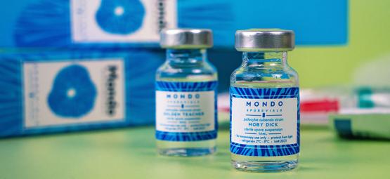 Co je lahvička s výtrusy magických hub?