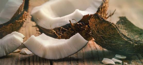 Lze znovu použít kokosové vlákno?