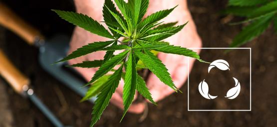 Co je recyklovaná organická živá půda (ROLS)