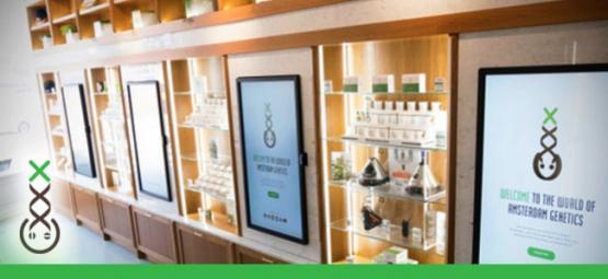 Informační centrum coffeeshopů