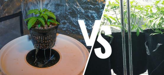 Recirkulační vs. odtokové (drain-to-waste) systémy