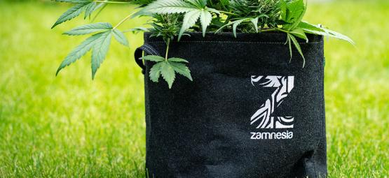 Co je Smart Pot a jak si ho vyrobit