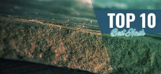 Top 10 nejlepší hašiš v Amsterdamu