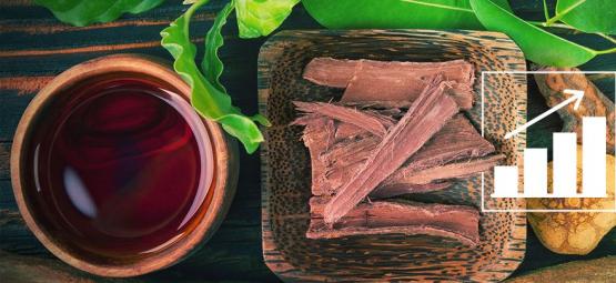 Jak pěstovat Banisteriopsis caapi ze semen