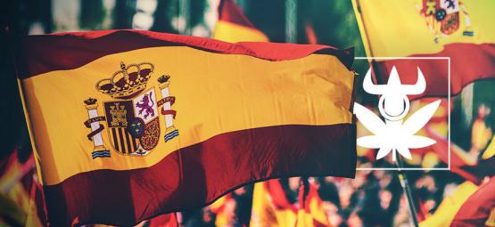 Top 10 odrůd konopí ve španělských konopných klubech