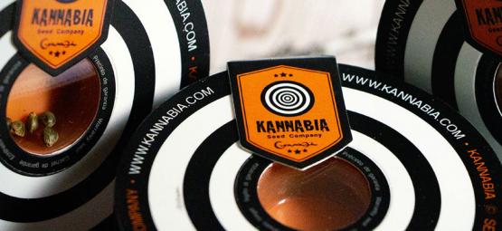 Top 10 odrůd konopí od Kannabia Seeds