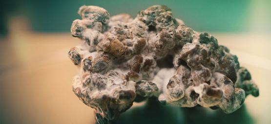 Je bezpečné užívat magické lanýže každý den?