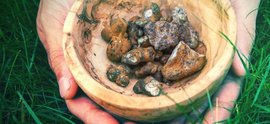 Seznamte se s naším dynamickým duem magických lanýžů!