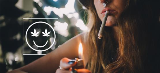 Co dělat, když jste až moc zhulení z konopí