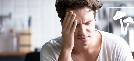 Jak vystřízlivět z výletu na lysohlávkách