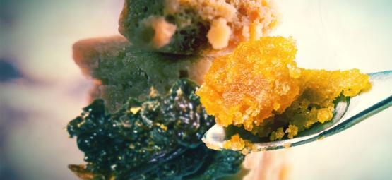 Jaký je rozdíl mezi rosinem, pryskyřicí a live resin extraktem?