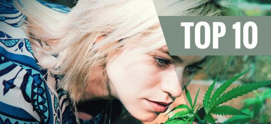 Top 10 odrůd konopí s nízkým zápachem pro minimální šíření vůně