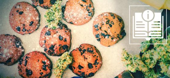 Vše, co potřebujete vědět o konopných poživatinách