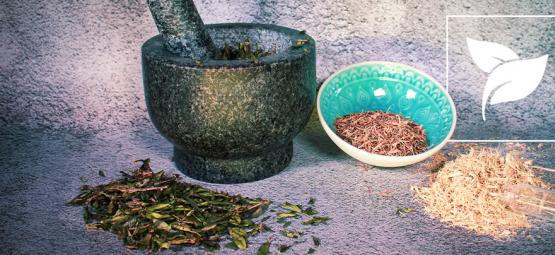 6 exotických bylinek, o kterých jste nejspíš nikdy neslyšeli (ale rozhodně byste je měli vyzkoušet)