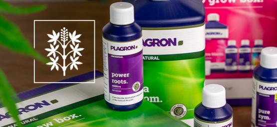 Vytěžte z vašich rostlin maximum s produkty Plagron