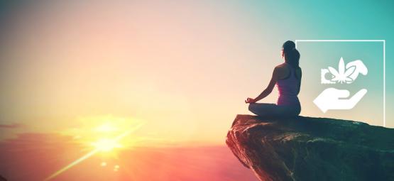 Žebříček psychedelik: Od úplného začátečníka po duchovního guru